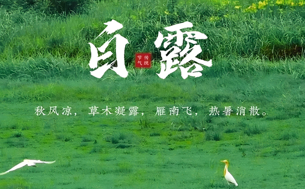 康乐白露润秋，致兴立群与您共筑坚固未来